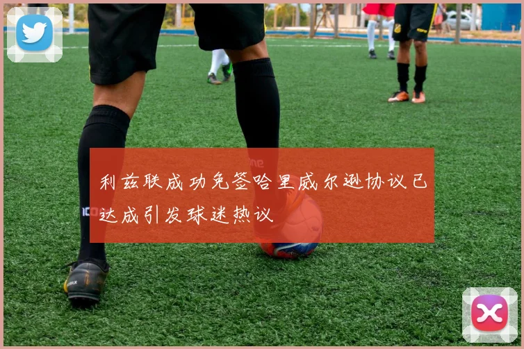 利兹联成功免签哈里威尔逊协议已达成引发球迷热议