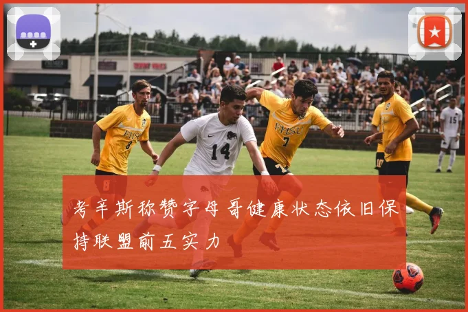 考辛斯称赞字母哥健康状态依旧保持联盟前五实力