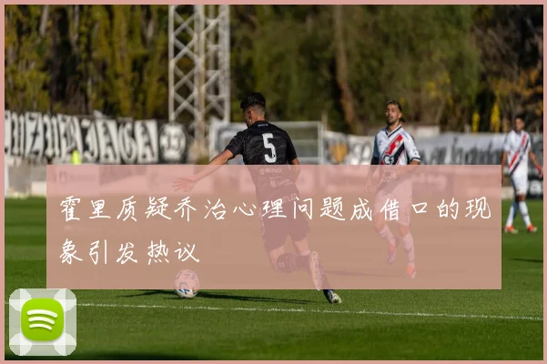 霍里质疑乔治心理问题成借口的现象引发热议